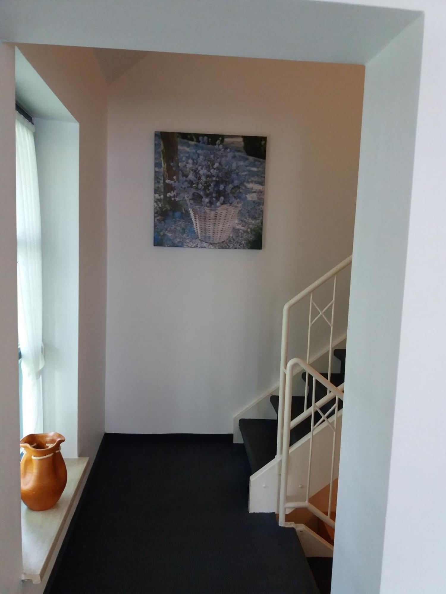 빌링겐 Haus Elsholz Willingen 아파트 외부 사진