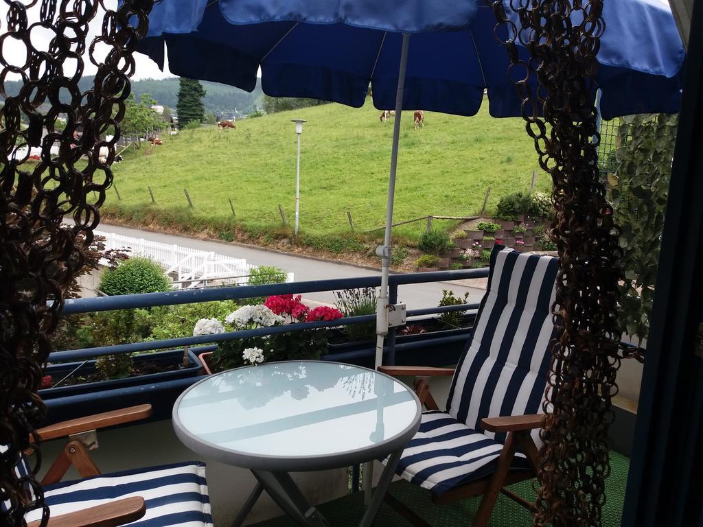 빌링겐 Haus Elsholz Willingen 아파트 외부 사진