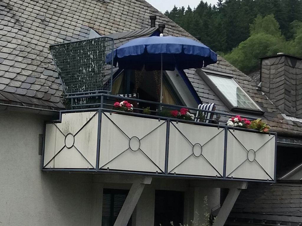 빌링겐 Haus Elsholz Willingen 아파트 외부 사진