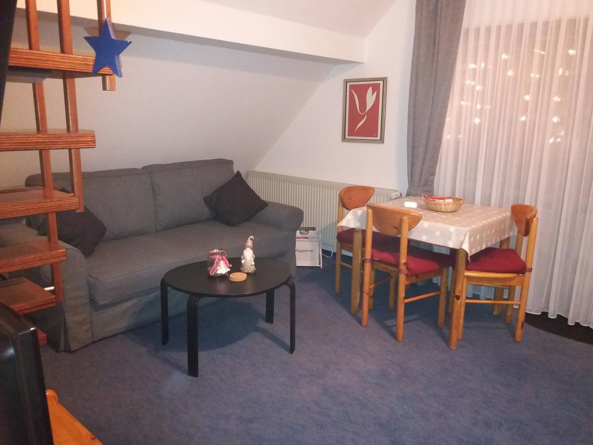 빌링겐 Haus Elsholz Willingen 아파트 외부 사진